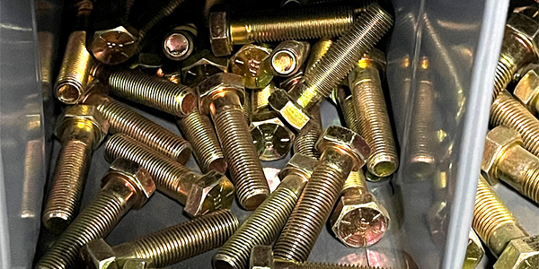 gold bolts in a plastic box
